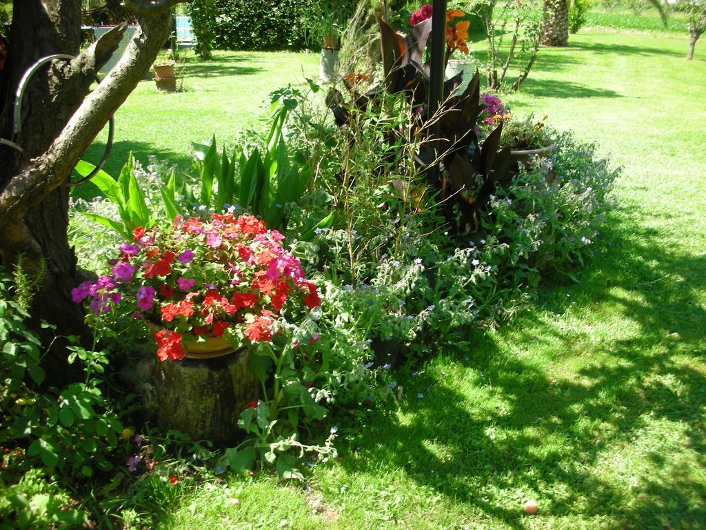 B&B Da Pio Pietrasanta Εξωτερικό φωτογραφία