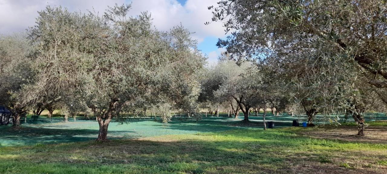 B&B Da Pio Pietrasanta Εξωτερικό φωτογραφία
