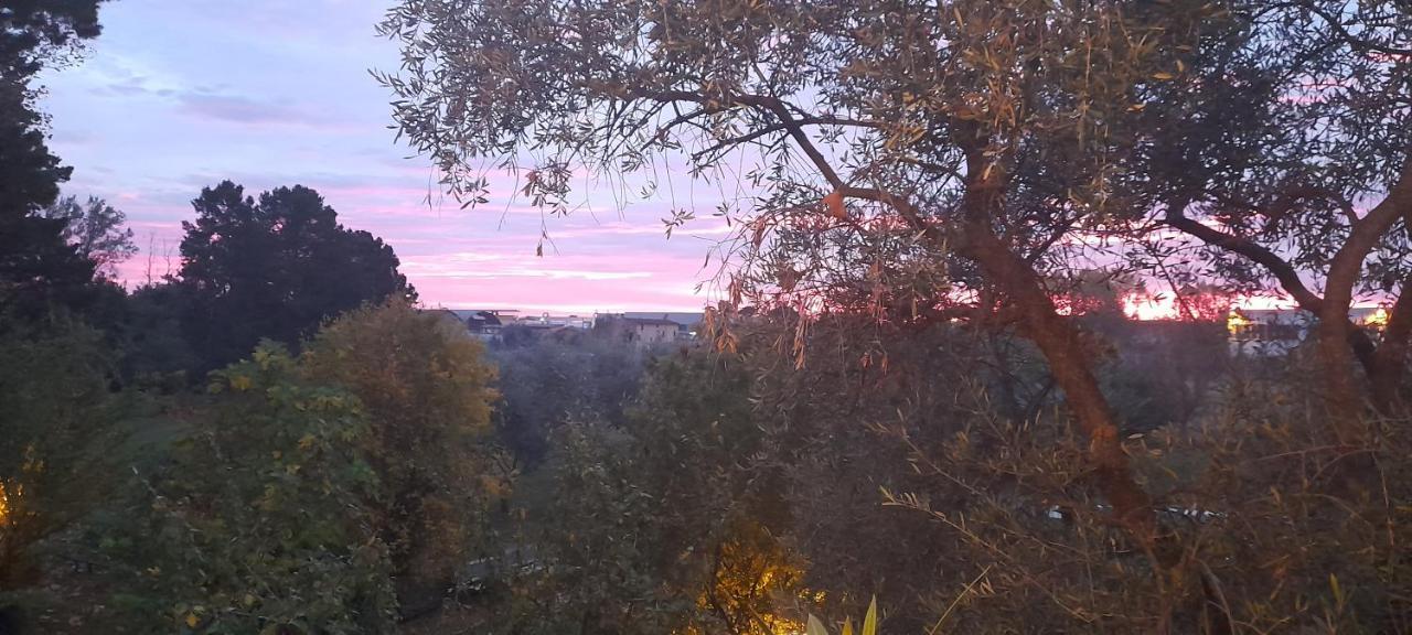 B&B Da Pio Pietrasanta Εξωτερικό φωτογραφία