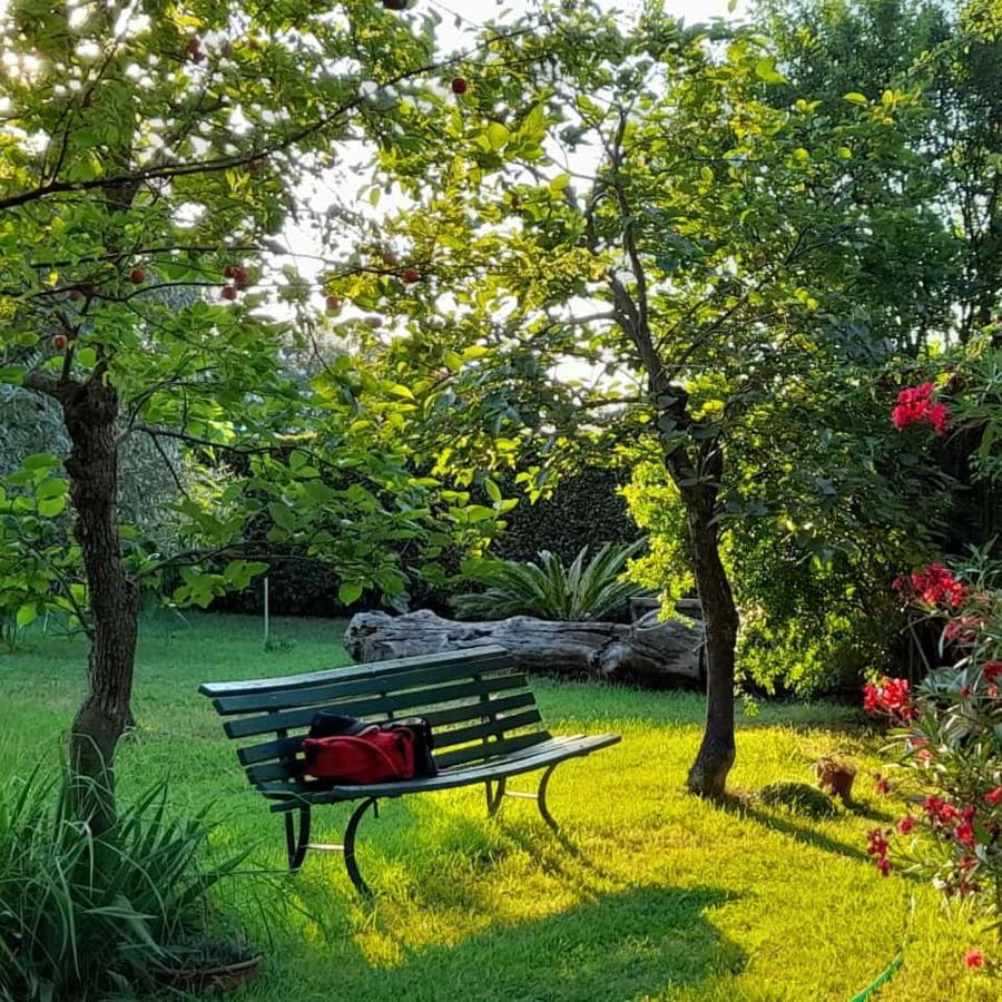 B&B Da Pio Pietrasanta Εξωτερικό φωτογραφία