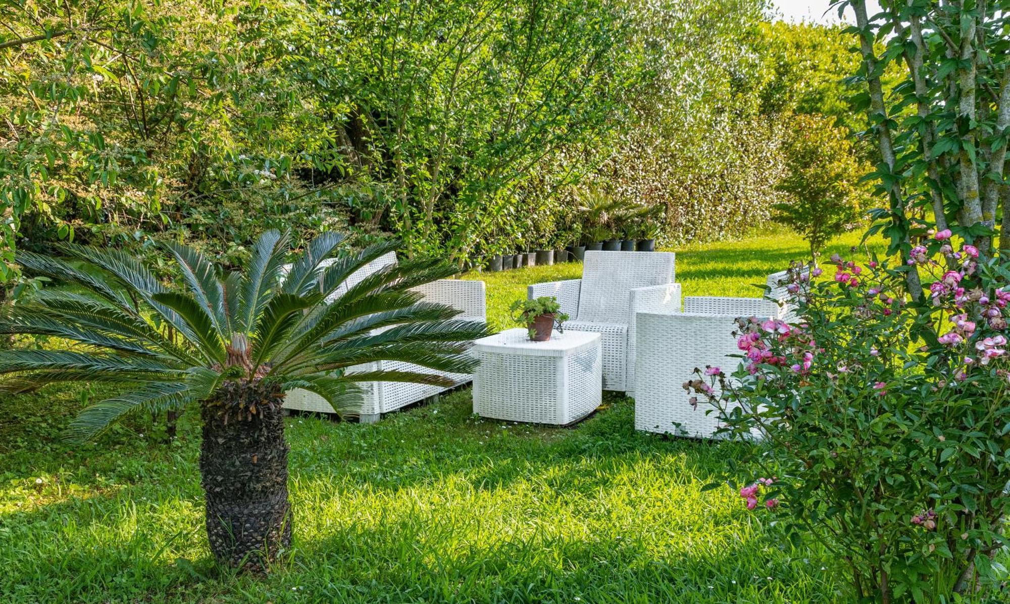 B&B Da Pio Pietrasanta Εξωτερικό φωτογραφία