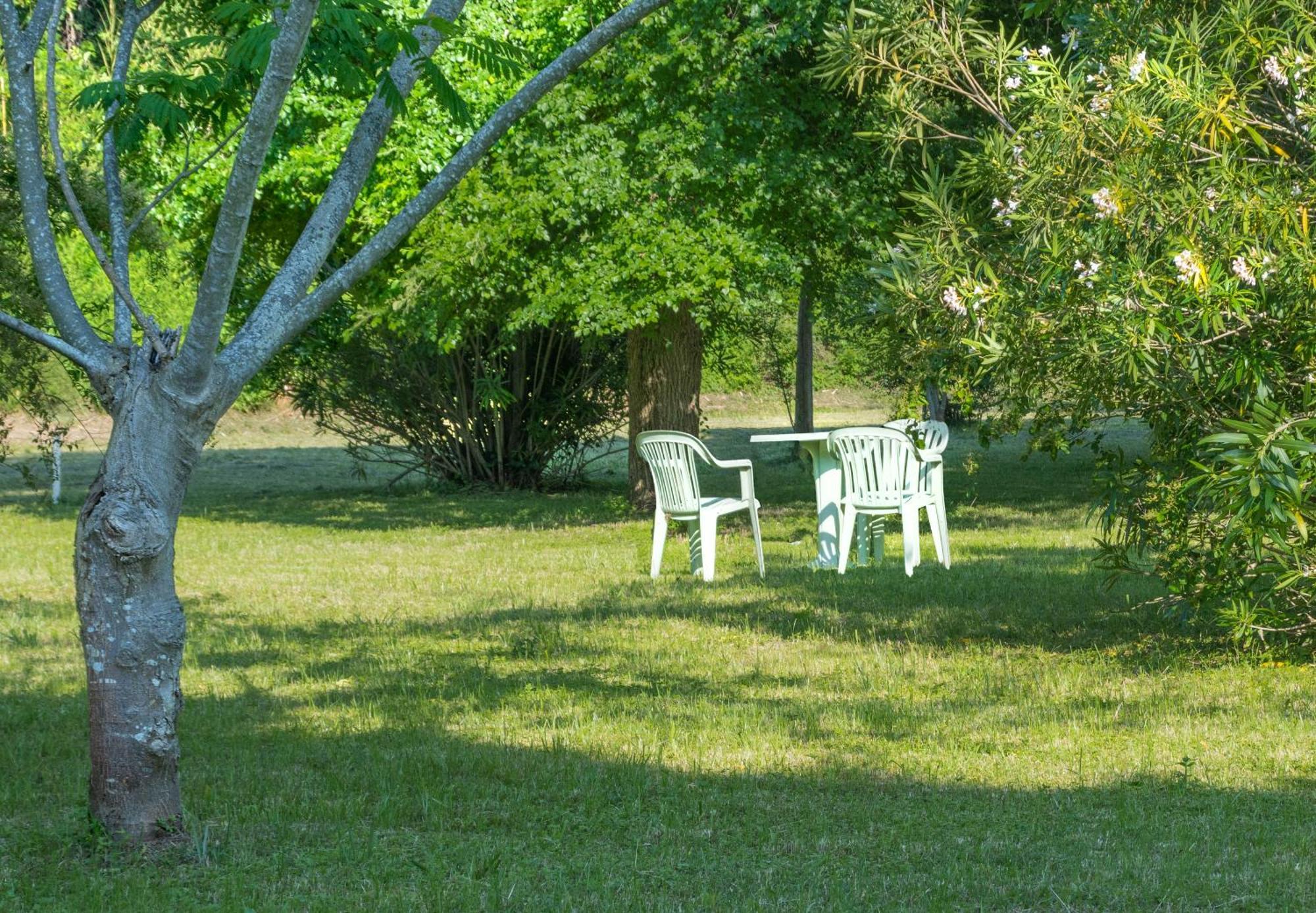 B&B Da Pio Pietrasanta Εξωτερικό φωτογραφία