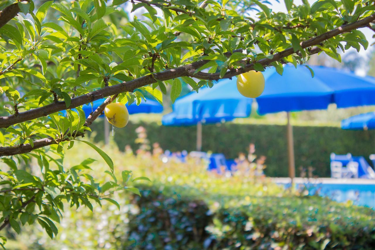 B&B Da Pio Pietrasanta Εξωτερικό φωτογραφία